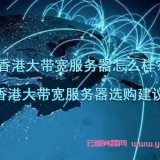 香港大带宽服务器怎么样？如何选购香港高性能的服务器